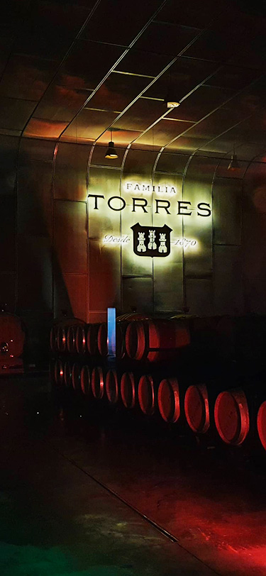 Htx Studieture Vin Producent