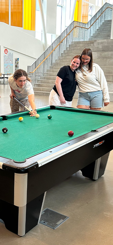 EUD Livet Paa Skolen Billard