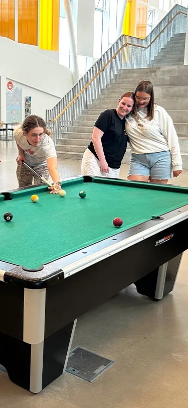 EUD Livet Paa Skolen Billard