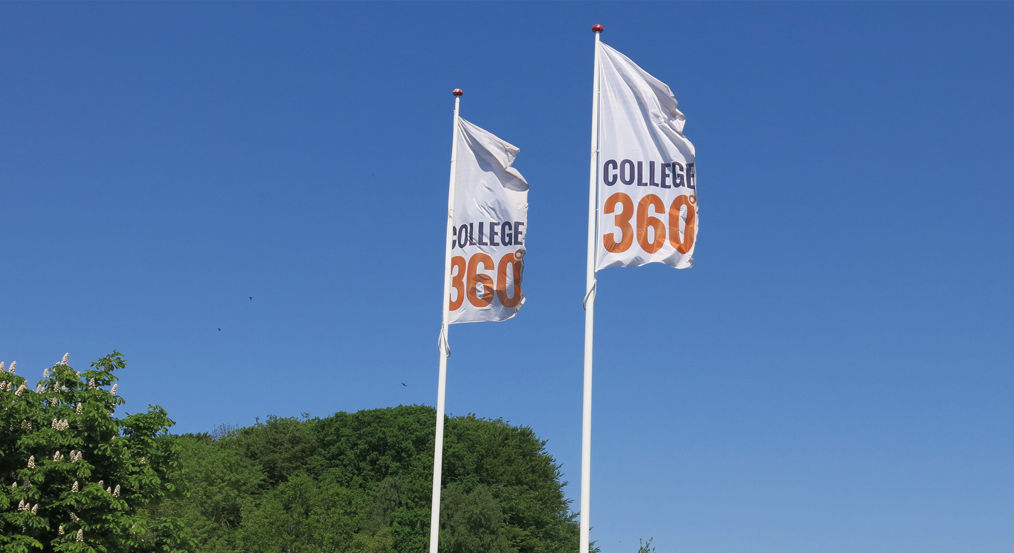 College360 logoflag