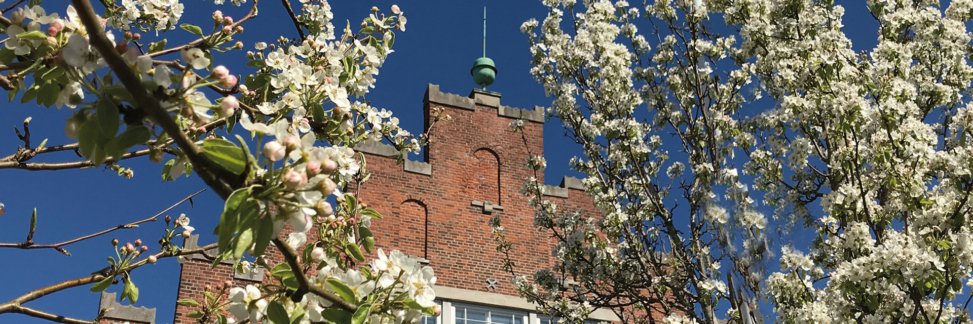 Et sommerbillede af skolens gavl