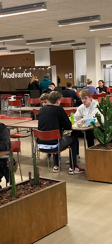 EUX Livet Paa Skolen Elever Holder Formiddagspause I Madvaerket