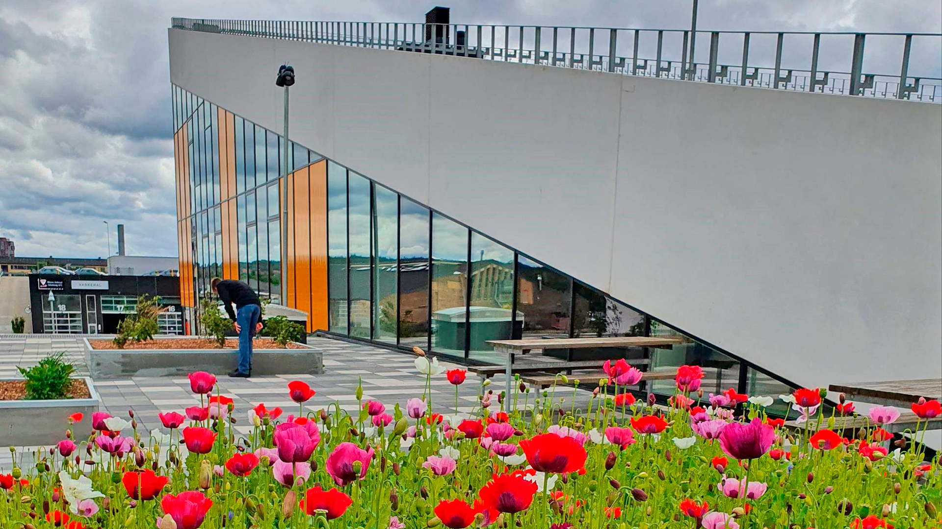 College360 Bredhøjvej 8 Erhvervsuddannelserne og EUX set fra tagterassen