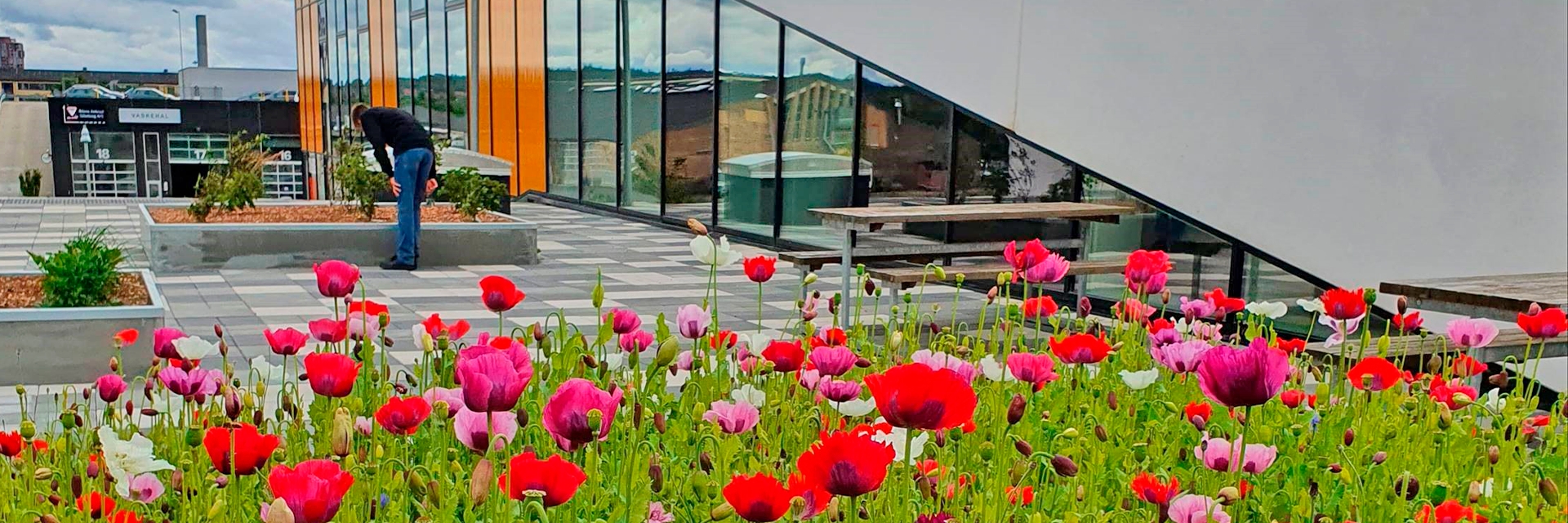 College360 Bredhøjvej 8 Erhvervsuddannelserne og EUX set fra tagterassen