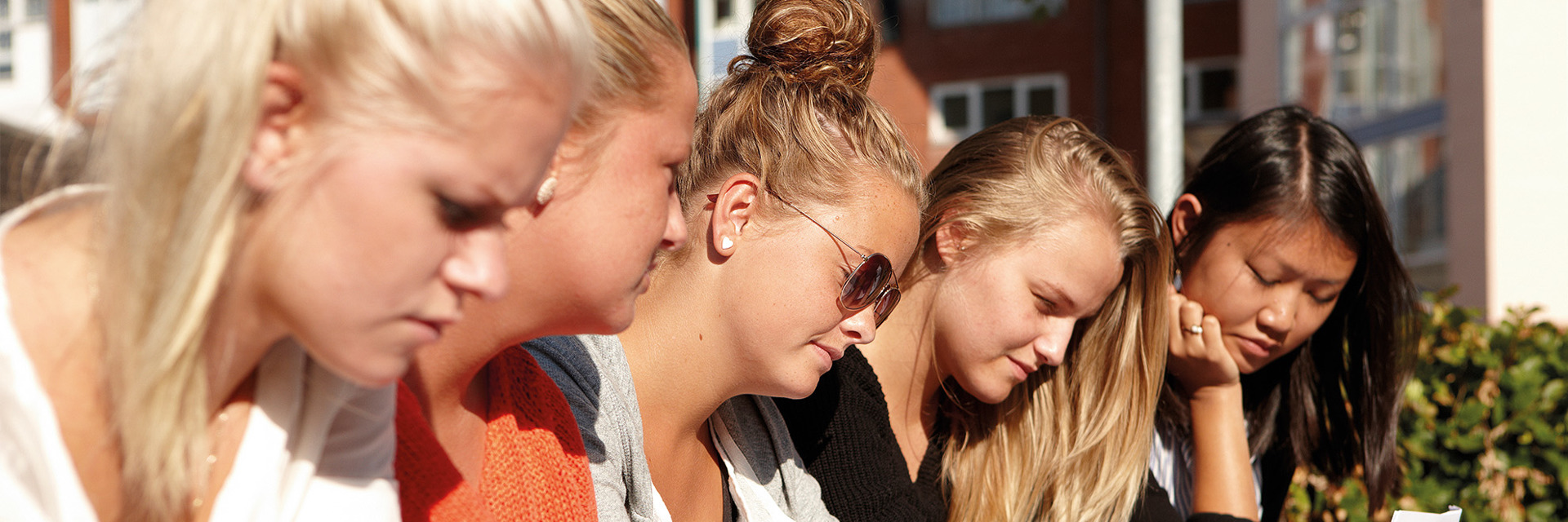 HHX piger laver gruppearbejde i solen i skolegården