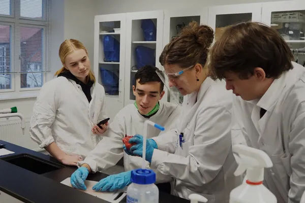 Undervisning I Grisehjerte