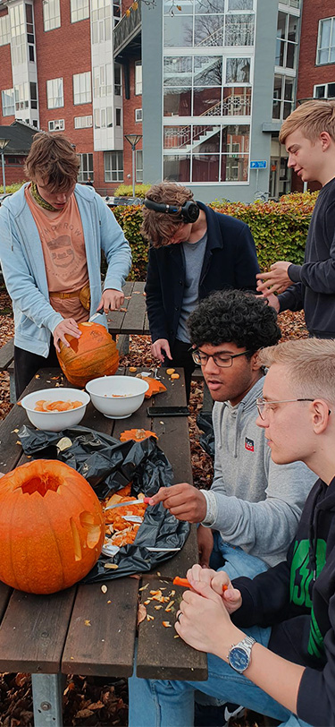 Htx Livet Paa Skolen Graeskar